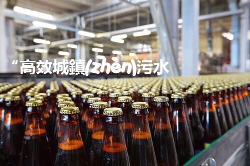 “高效城鎮(zhèn)污水處理流程，守護(hù)碧水藍(lán)天新篇章”